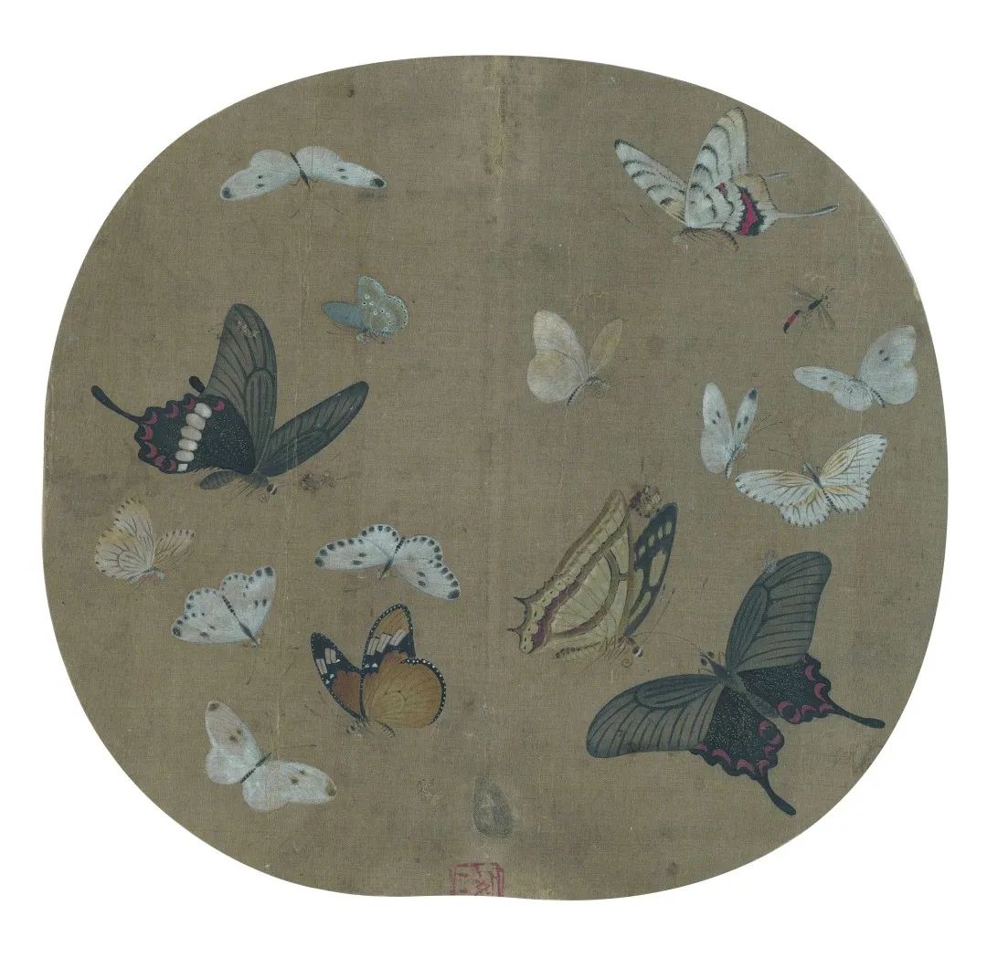 赏析丨宋代小品画:蛱蝶小品画 赏析丨宋代小品画:蛱蝶小品画