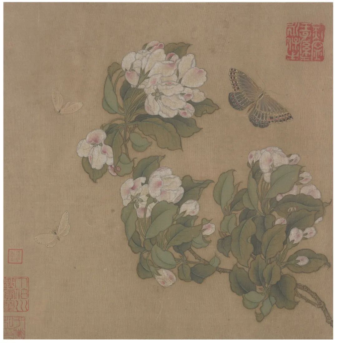 赏析丨宋代小品画:蛱蝶小品画 赏析丨宋代小品画:蛱蝶小品画
