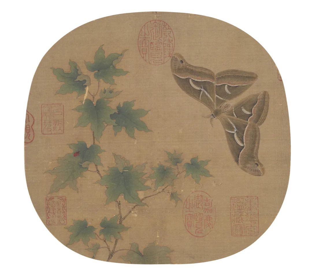 赏析丨宋代小品画:蛱蝶小品画 赏析丨宋代小品画:蛱蝶小品画