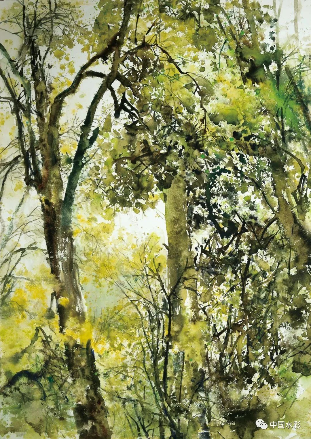 高志华|象生于意,故可寻象以观意 高志华|象生于意,故可寻象以观意