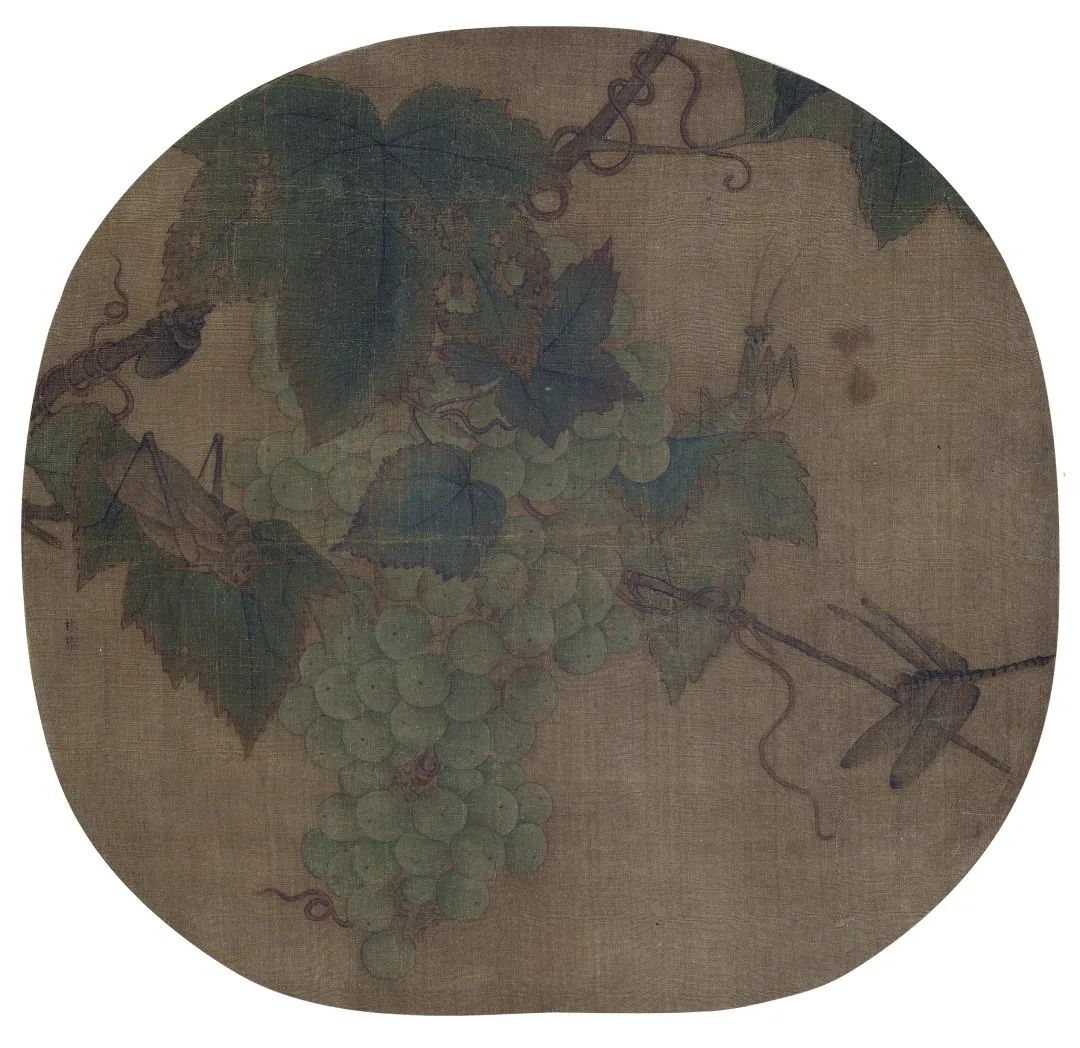赏析丨宋代小品画:草虫小品画 赏析丨宋代小品画:草虫小品画