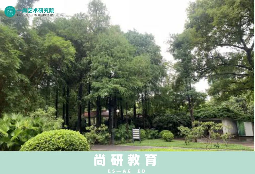 山水写生,学中有悟 山水写生,学中有悟