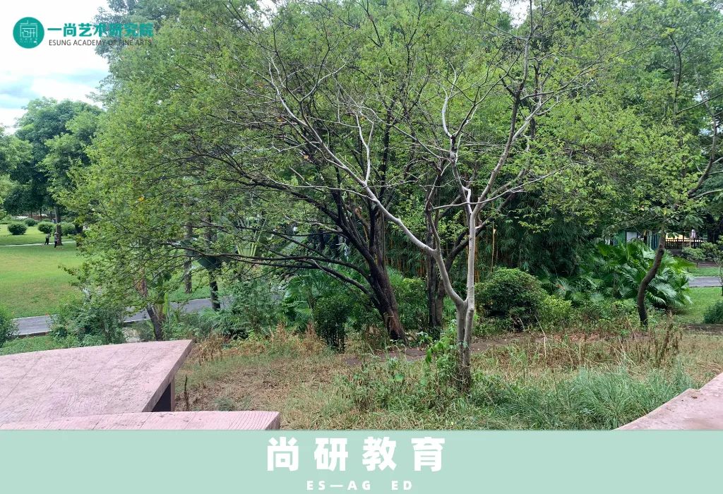 山水写生,学中有悟 山水写生,学中有悟