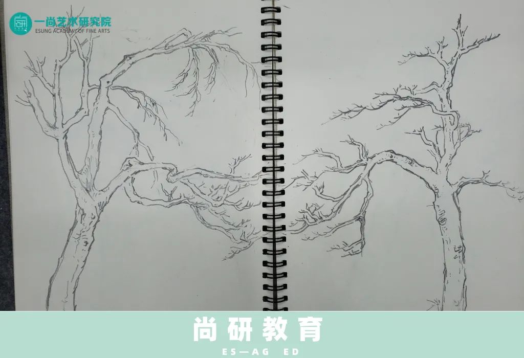 山水写生,学中有悟 山水写生,学中有悟