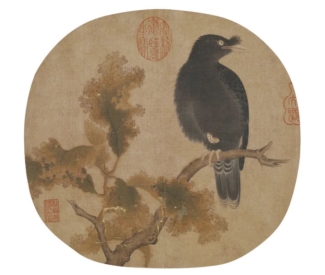 赏析丨宋代小品画:翎毛小品画 赏析丨宋代小品画:翎毛小品画