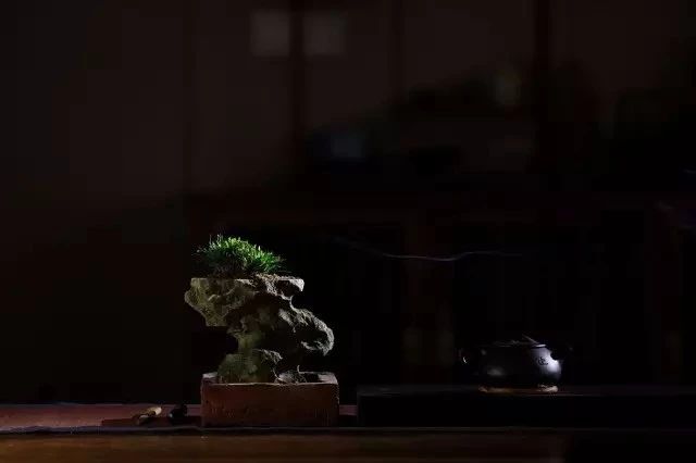 极简,最高级的审美! 极简,最高级的审美!