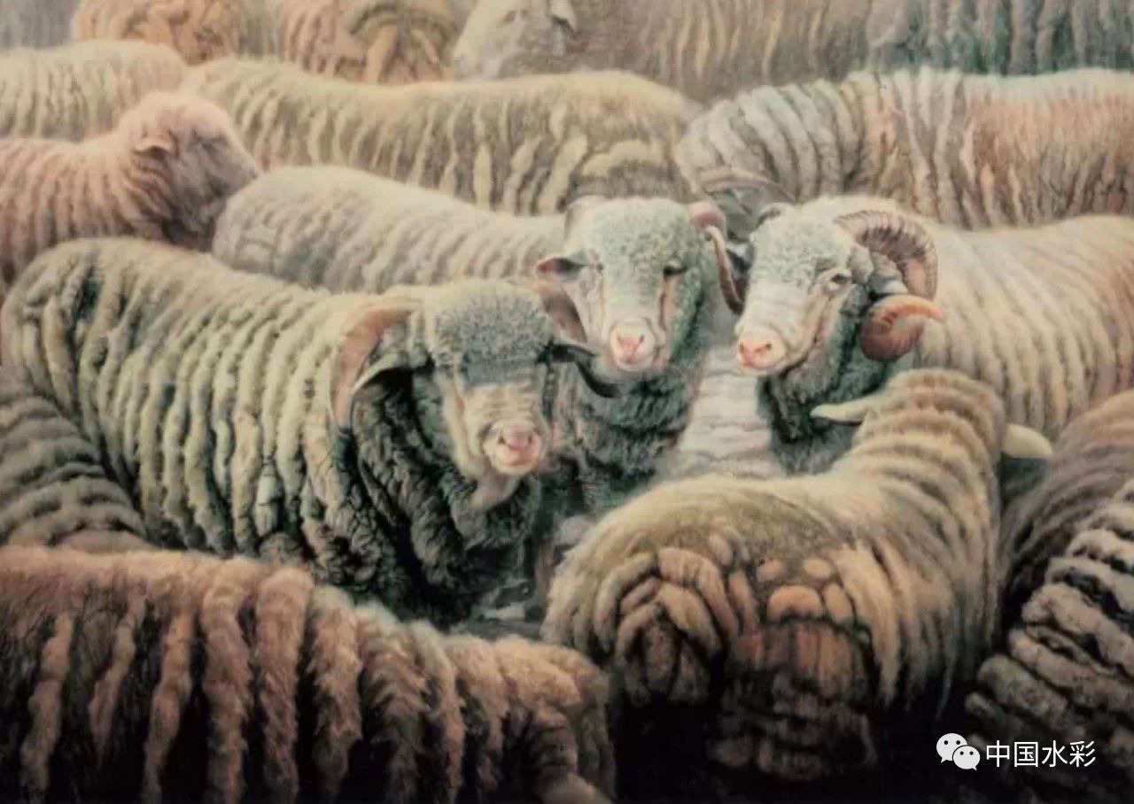 白统绪 | 不重复别人,不重复自己 白统绪 | 不重复别人,不重复自己