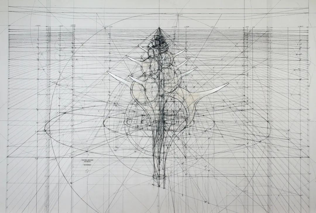 当艺术遇见数学丨 画画里数学最好的也是数学里画画最好的 当艺术遇见数学丨 画画里数学最好的也是数学里画画最好的