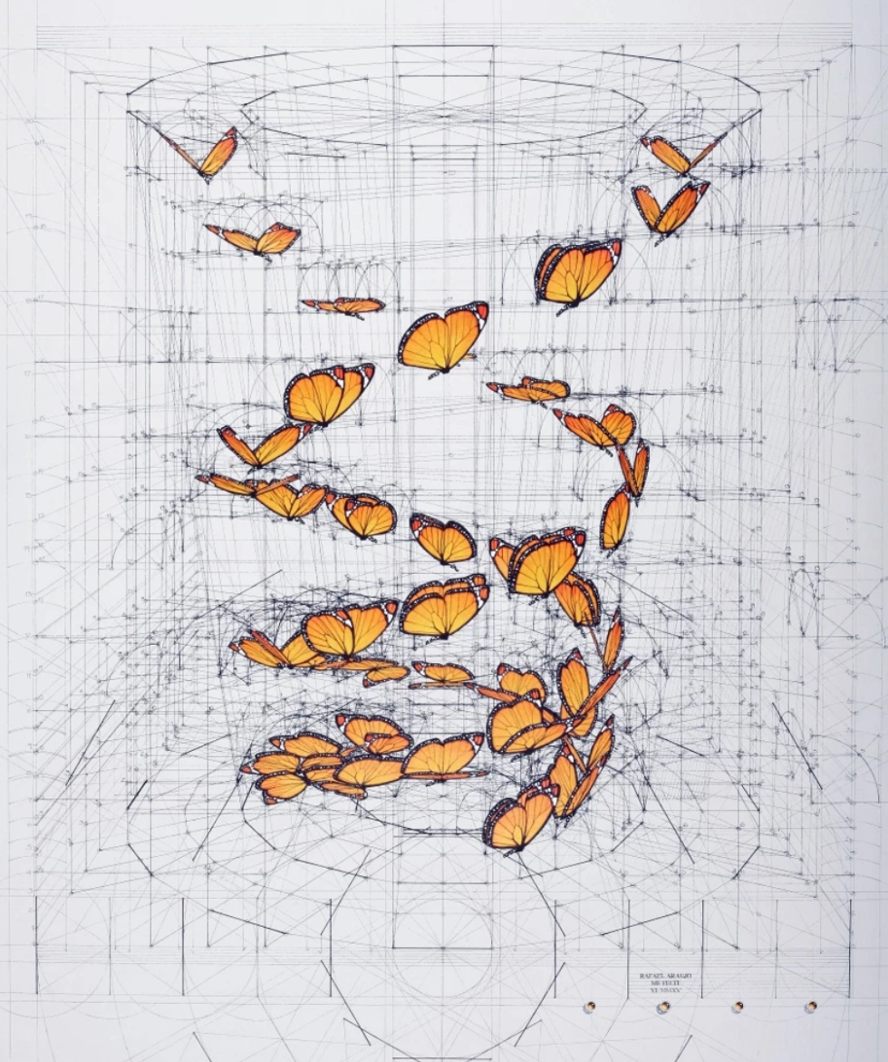 当艺术遇见数学丨 画画里数学最好的也是数学里画画最好的 当艺术遇见数学丨 画画里数学最好的也是数学里画画最好的