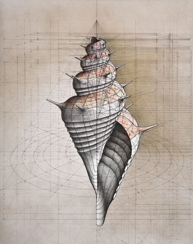 当艺术遇见数学丨 画画里数学最好的也是数学里画画最好的 当艺术遇见数学丨 画画里数学最好的也是数学里画画最好的