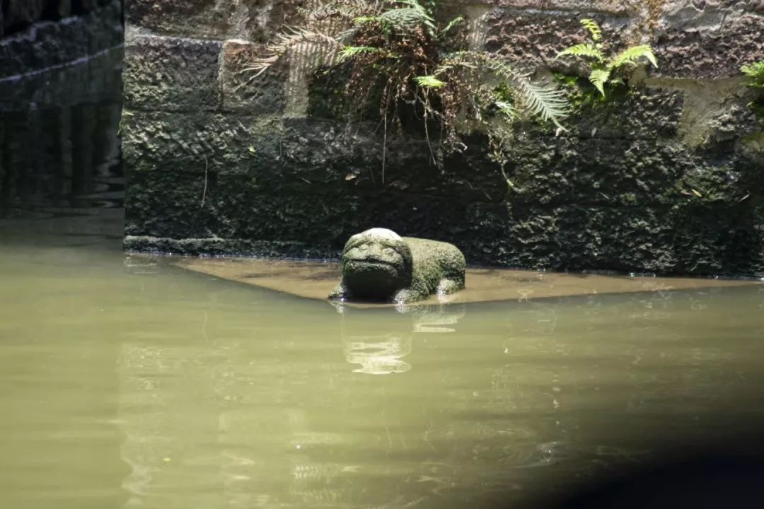 “逢简·水乡情”——广东省青年美术家协会人物画艺委会带队广州美术学院学生考察团5/12全纪录 “逢简·水乡情”——广东省青年美术家协会人物画艺委会带队广州美术学院学生考察团5/12全纪录