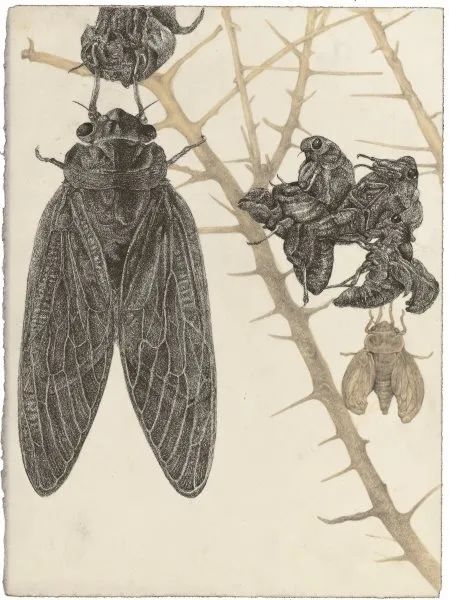 “艺”起看导师风采——广州美术学院绘画学院版画系(二) “艺”起看导师风采——广州美术学院绘画学院版画系(二)