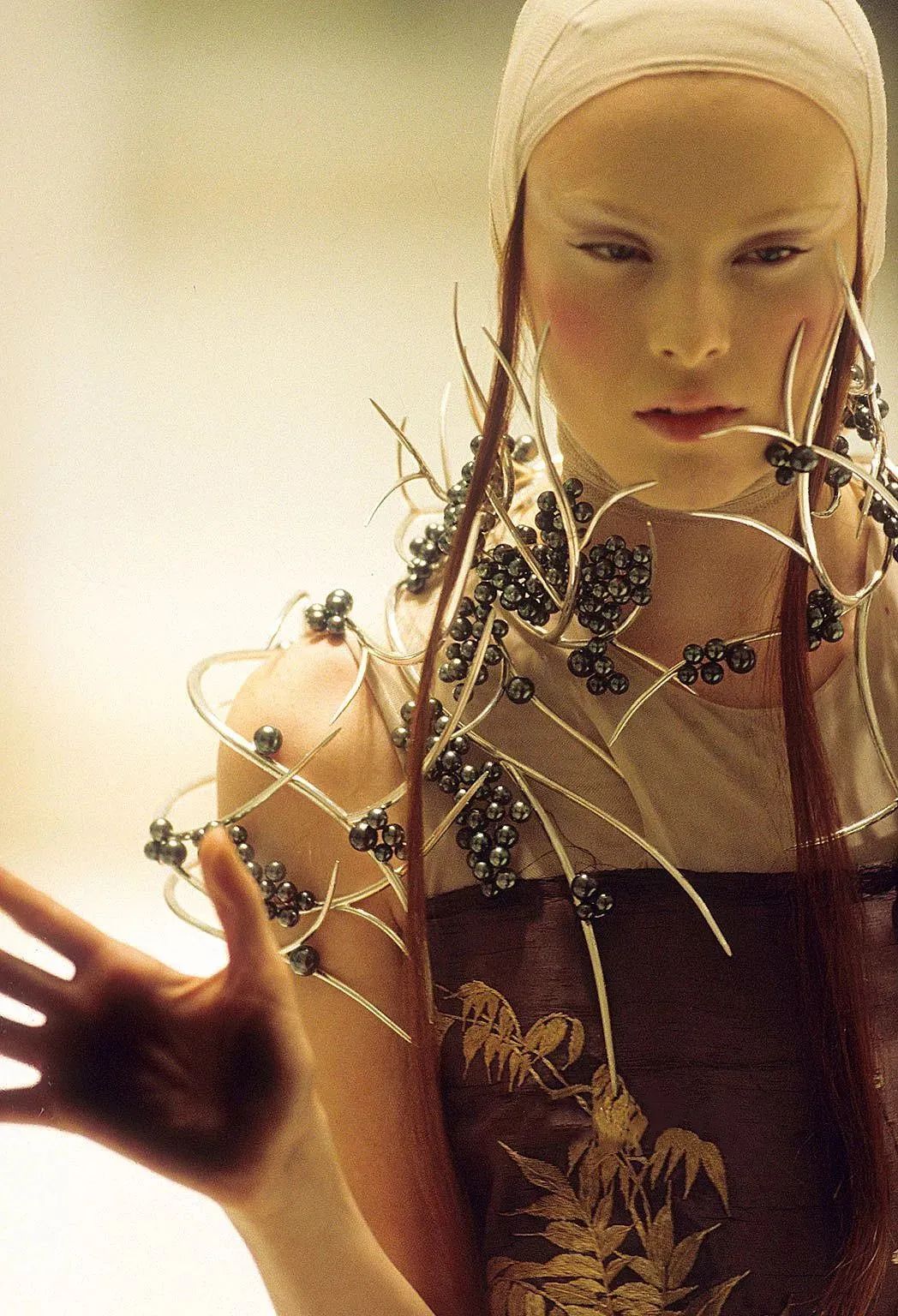 时尚圈的离经叛道者——Alexander McQueen 时尚圈的离经叛道者——Alexander McQueen