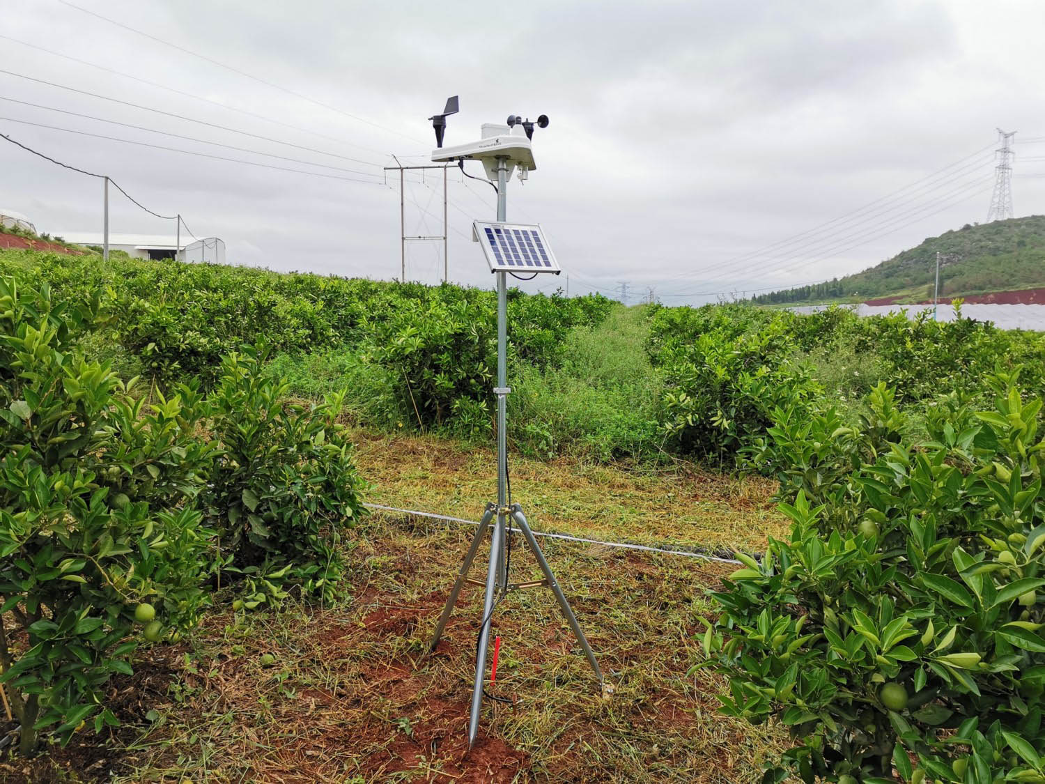 云南建水荒漠生态系统国家定位观测研究站 35米涡动协方差监测 脐橙地土壤生态监测系统
