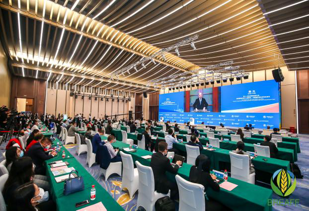 沃奇与进博-国际视线投向文冠果产业 沃奇与进博-国际视线投向文冠果产业