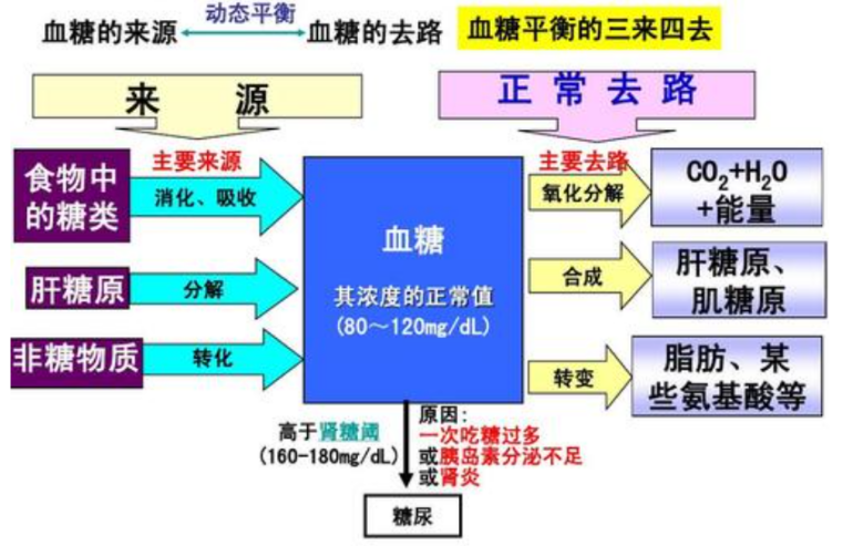 红杉健康小课堂(第1期)——血糖是什么? 红杉健康小课堂(第1期)——血糖是什么?