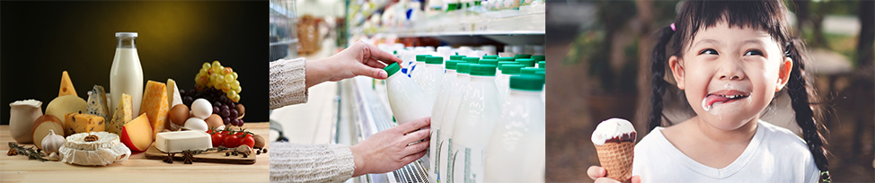乳制品进口指南 乳制品进口指南