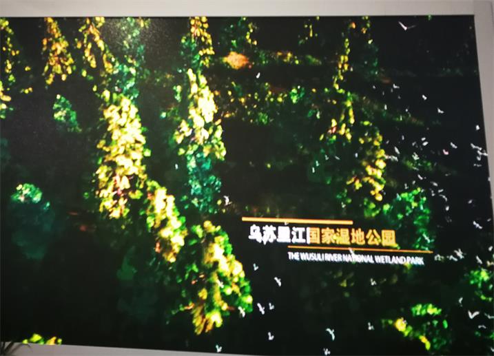 南阳市南都斐翠山营销中心LED高清全彩专用P2.0表贴单元板(奥马哈) 南阳市南都斐翠山营销中心LED高清全彩专用P2.0表贴单元板(奥马哈)