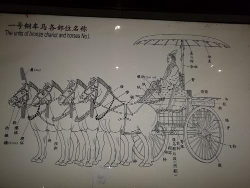 秦始皇陵銅車(chē)馬 ?考古中國(guó)