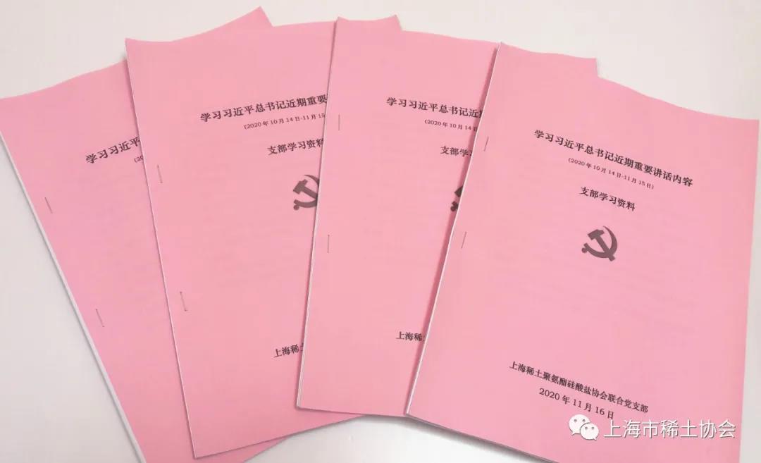 上海稀土聚氨酯硅酸盐协会联合党支部召开一届九次全体党员大会
