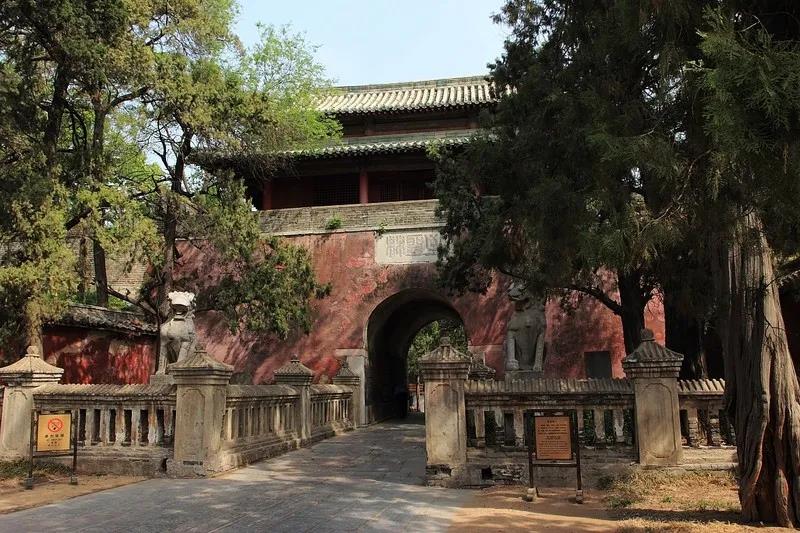 孔林——墓地文化研究 | 林地的历史沿革 孔林——墓地文化研究 | 林地的历史沿革