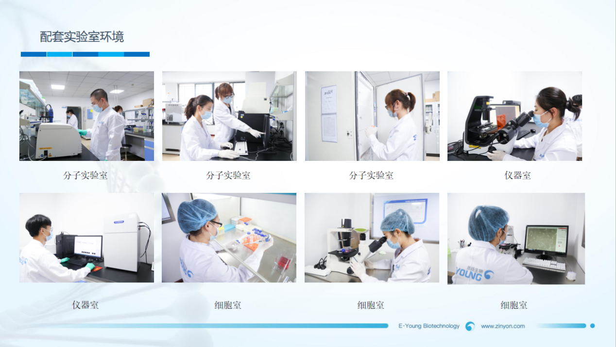喜讯!杭州鹰旸生物科技有限公司获批《实验动物使用许可证》 喜讯!杭州鹰旸生物科技有限公司获批《实验动物使用许可证》