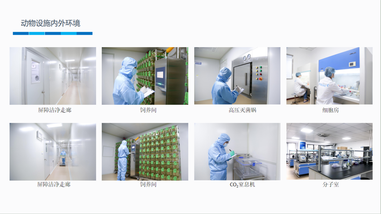 喜讯!杭州鹰旸生物科技有限公司获批《实验动物使用许可证》 喜讯!杭州鹰旸生物科技有限公司获批《实验动物使用许可证》