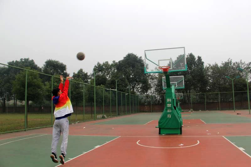 鹰击长空 谁与争锋 鹰击长空 谁与争锋