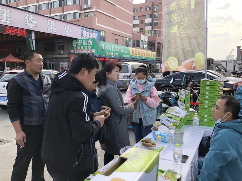 重庆猕猴桃推荐会在济南堤口果品批发市场举行