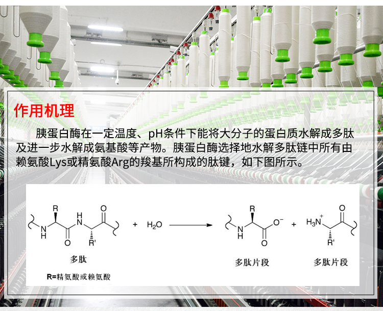 夏盛固体工业级胰蛋白酶4万酶活(皮革/纺织/饲料可用)GDG-2016