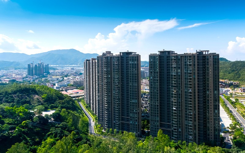 金眾 · 云山棲 金眾 · 云山棲