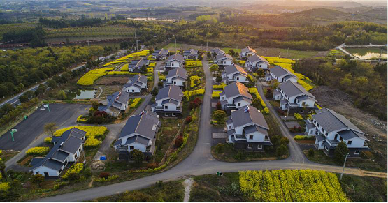 农业农村部印发《全国乡村产业发展规划(2020—2025年)》 农业农村部印发《全国乡村产业发展规划(2020—2025年)》