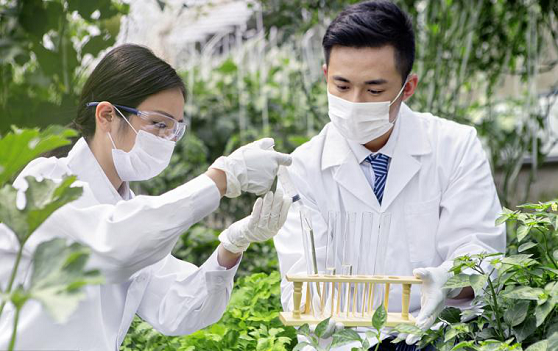农业农村部印发《全国乡村产业发展规划(2020—2025年)》 农业农村部印发《全国乡村产业发展规划(2020—2025年)》