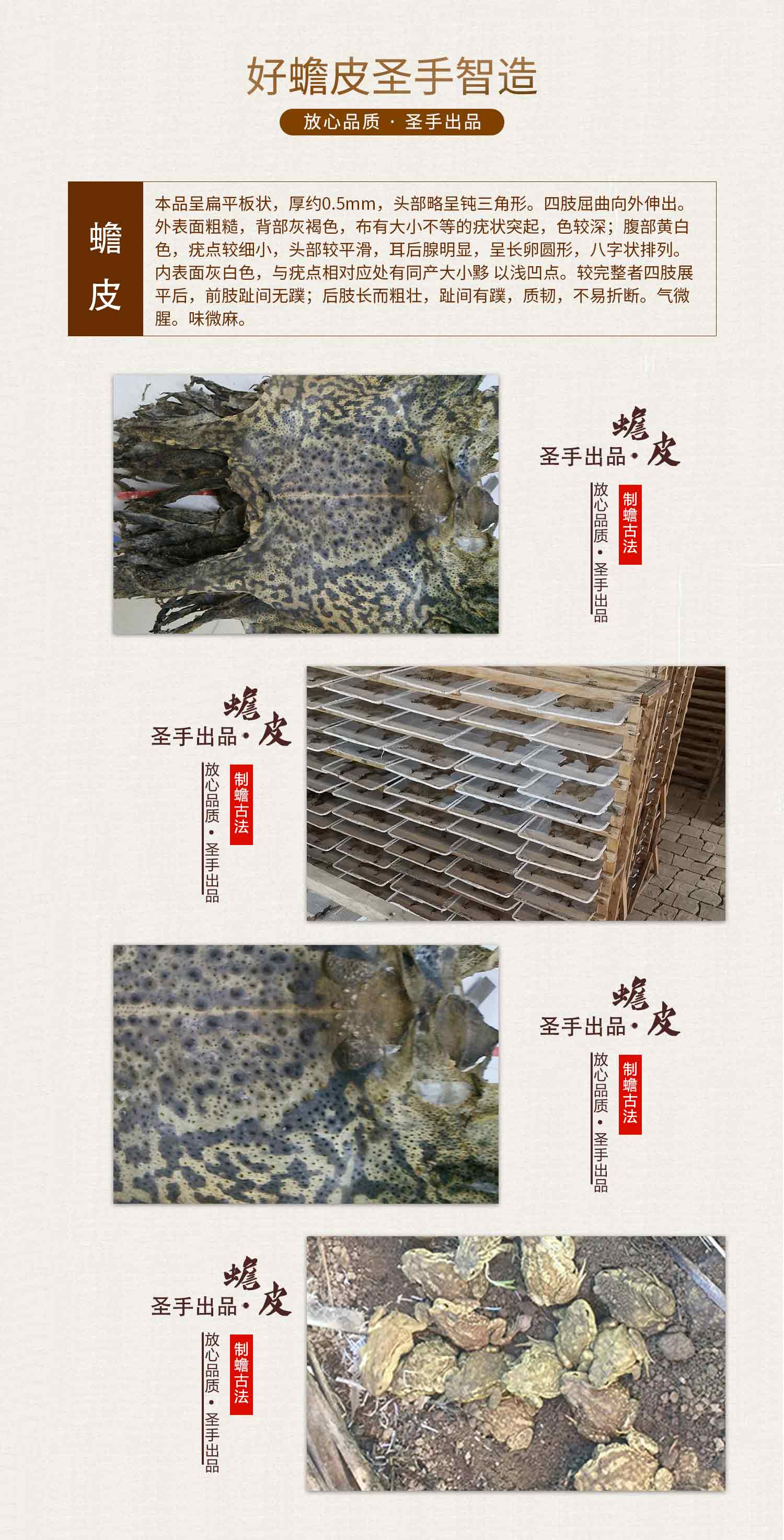 蟾皮 蟾皮