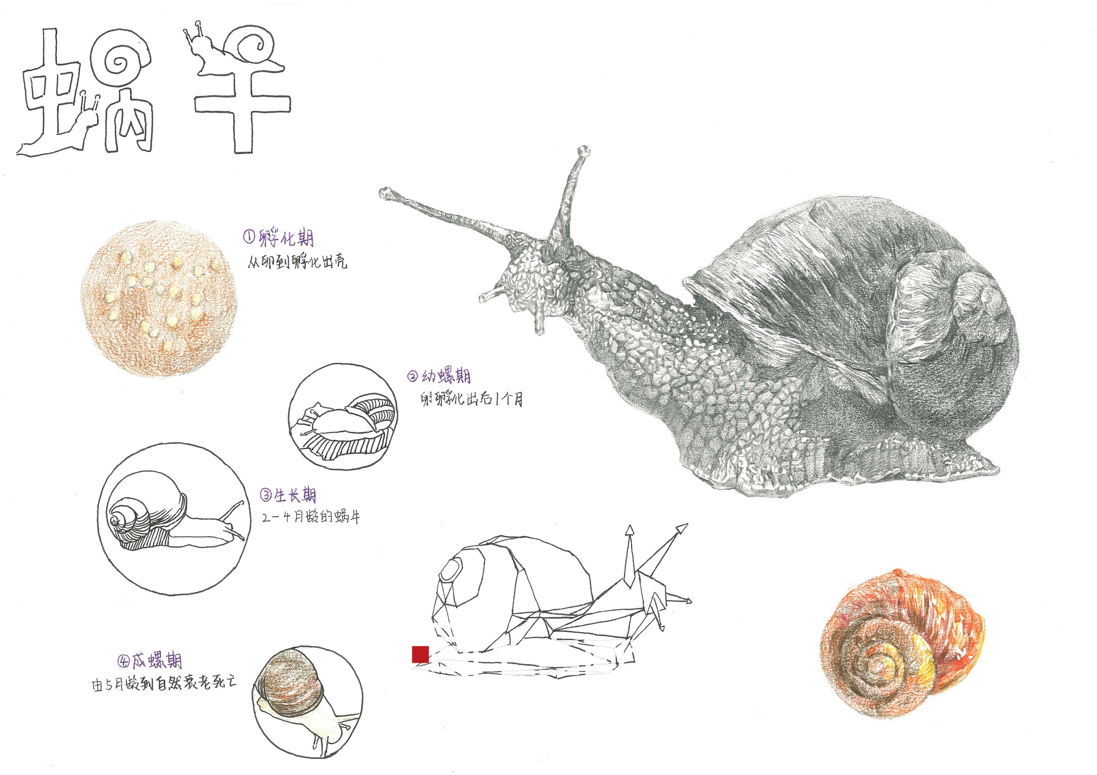 校考突击班 · 设计篇丨给你更多冲击名校的机会 校考突击班 · 设计篇丨给你更多冲击名校的机会