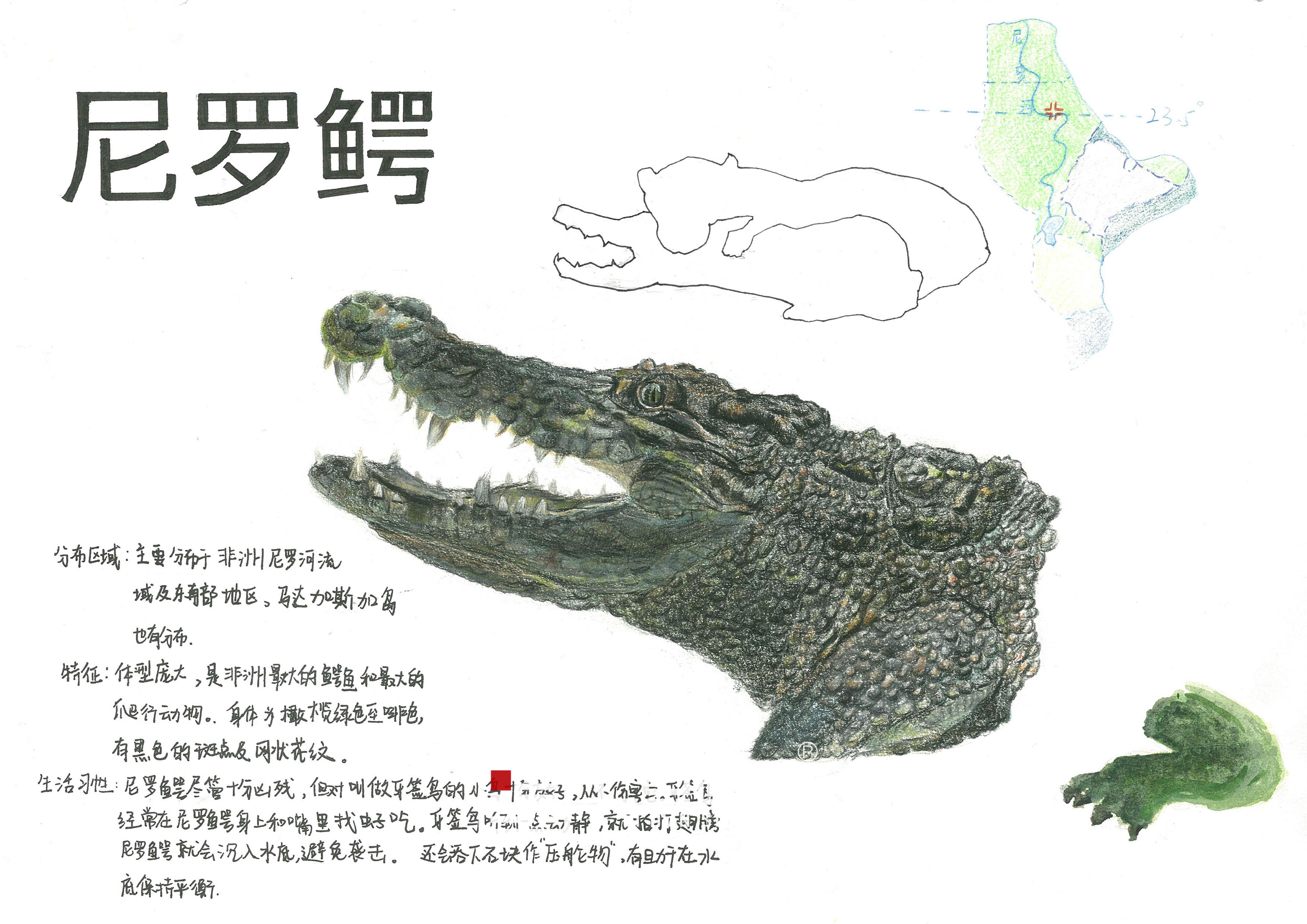 校考突击班 · 设计篇丨给你更多冲击名校的机会 校考突击班 · 设计篇丨给你更多冲击名校的机会