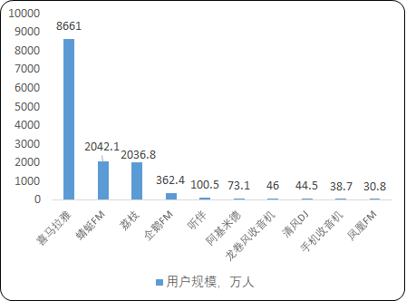 移动音频“十四五”投资可行性研究-2020年中国移动音频行业市场规模调研预测及竞争策略研究