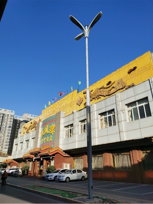 石家庄——道路合杆整治项目