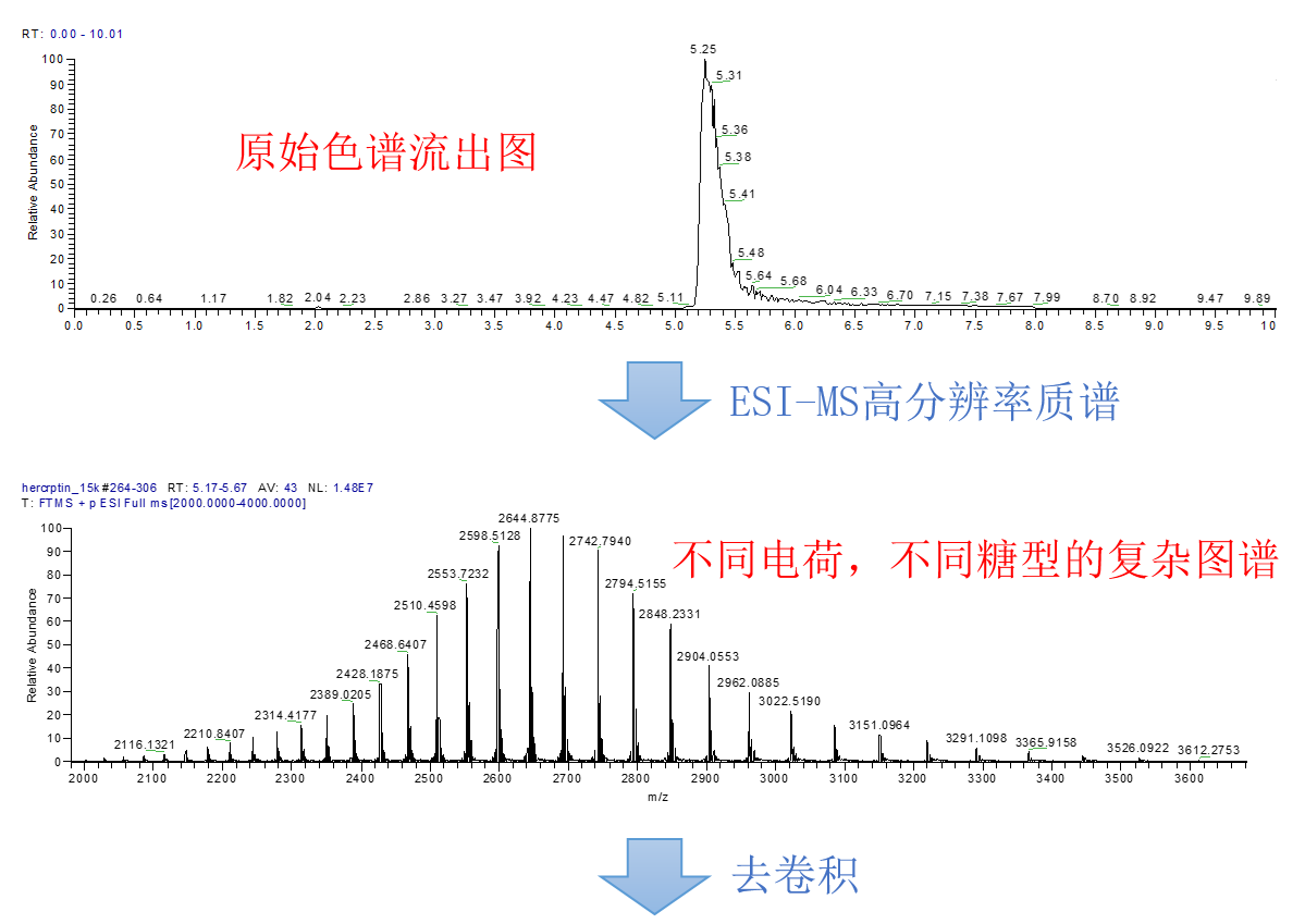 高分辨分子量检测 高分辨分子量检测