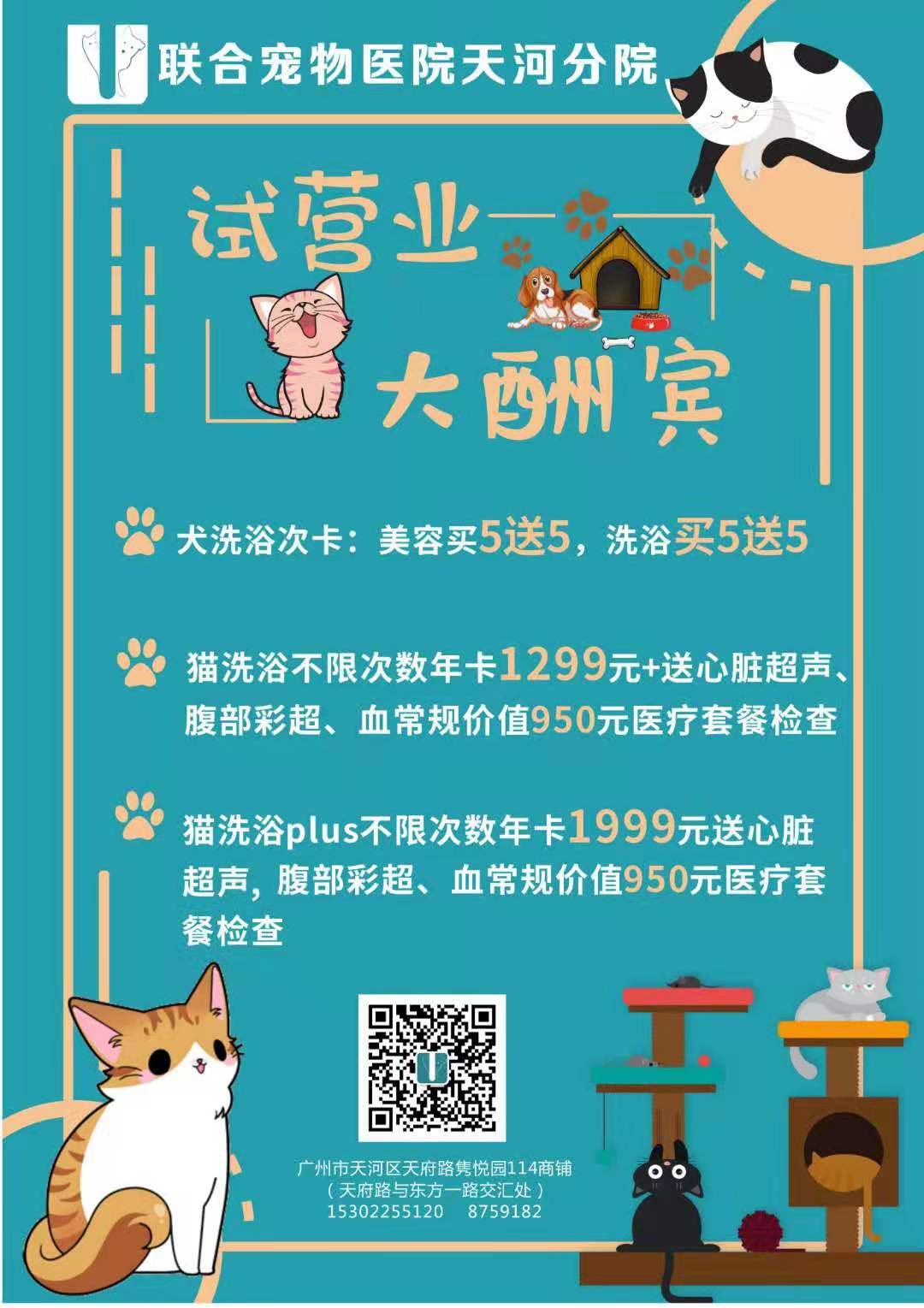 活动篇 | 在广州，初见联合宠物医院