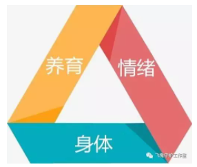 新教育伙伴成长动态 | 师者，应以文化为傲