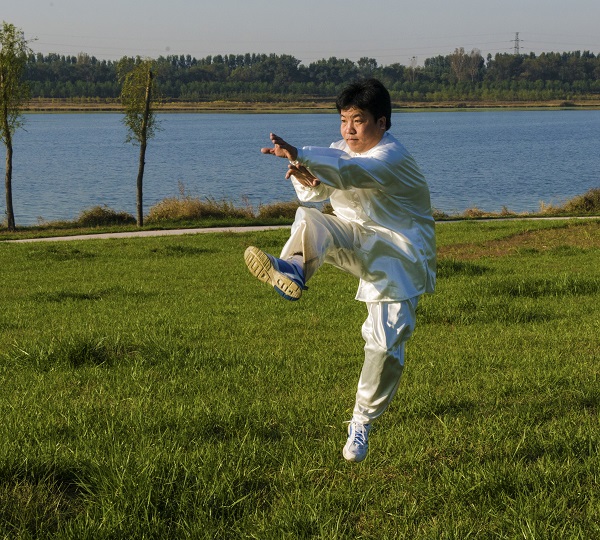 《当代杰出武林人物传》第二十七回：单刀李中兴形意拳  赵文龙艺结京津冀