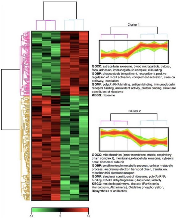 客户文献 | 蛋白质组学探索原发性胆管炎发病机理 客户文献 | 蛋白质组学探索原发性胆管炎发病机理