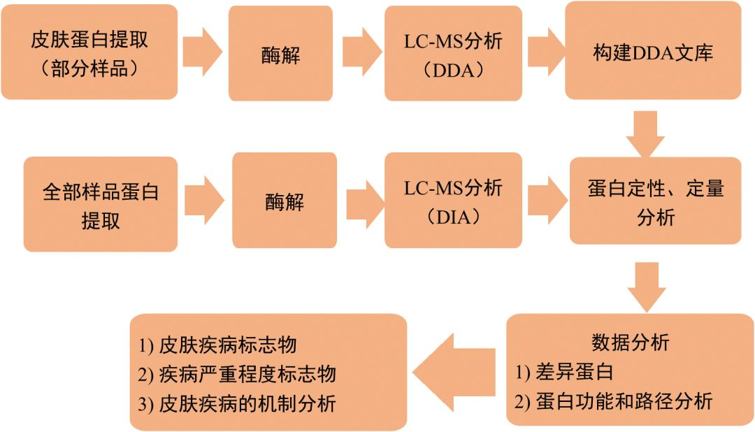 DIA(数据非依赖采集)蛋白质组分析可区分光化性角化病、鲍文氏病和皮肤鳞状细胞癌 DIA(数据非依赖采集)蛋白质组分析可区分光化性角化病、鲍文氏病和皮肤鳞状细胞癌
