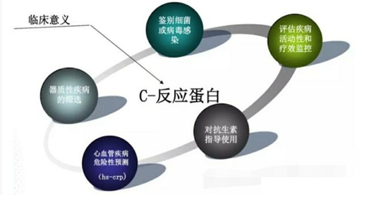 关于超敏CRP应用详解