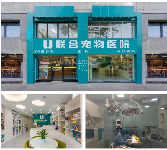 科普篇 | 猫狗口臭可能是生病？还可能致命！