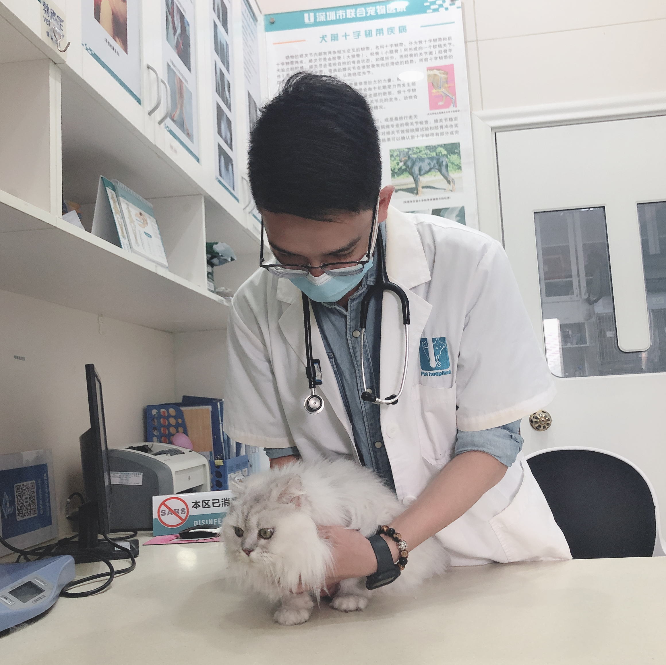 科普篇 | 冬日里,猫流感又蹭蹭涨了... 科普篇 | 冬日里,猫流感又蹭蹭涨了...