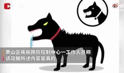 时事篇 | 女孩脑死亡：狂犬病不可治但可防