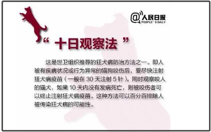 时事篇 | 女孩脑死亡：狂犬病不可治但可防