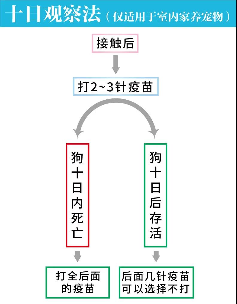 时事篇 | 女孩脑死亡：狂犬病不可治但可防